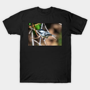 Chickadee T-Shirt